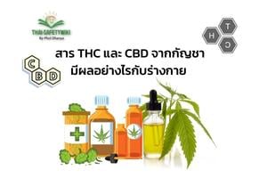 สาร THC และ CBD จากกัญชามีผลอย่างไรกับร่างกาย
